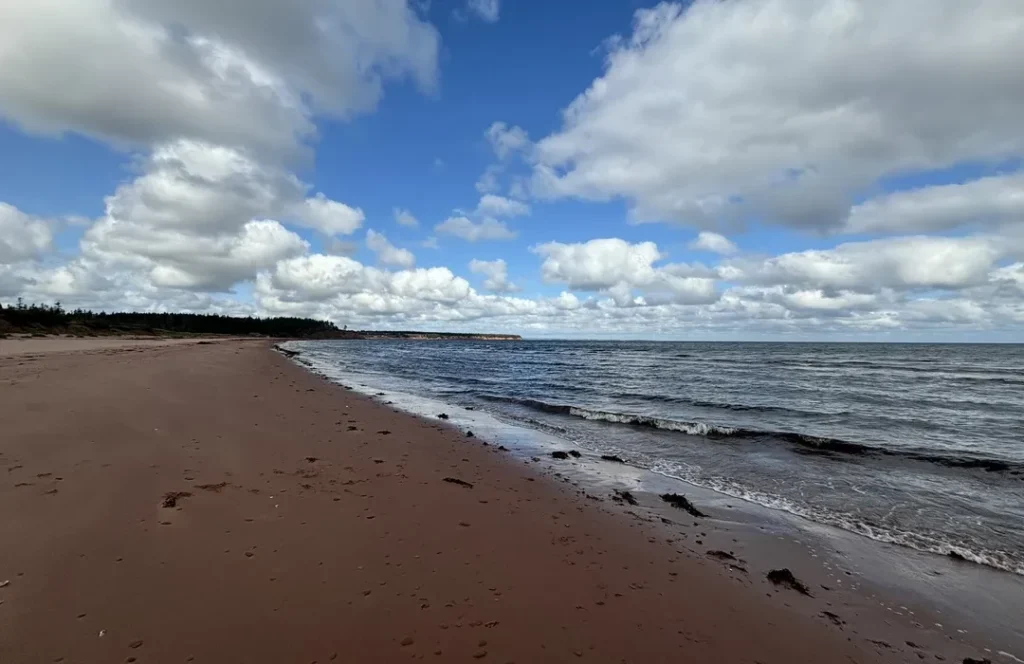 sally's beach provincial day park